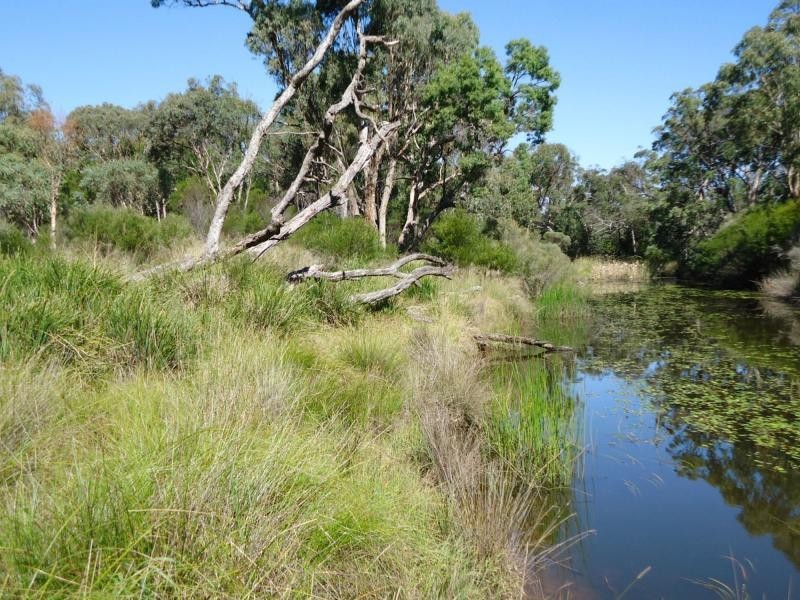 L104 Diamondvale Road, Stanthorpe QLD 4380