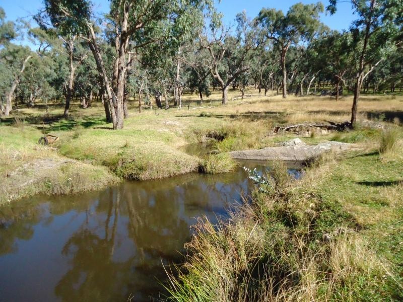 L219 Pyramids Road, Storm King, Stanthorpe QLD 4380