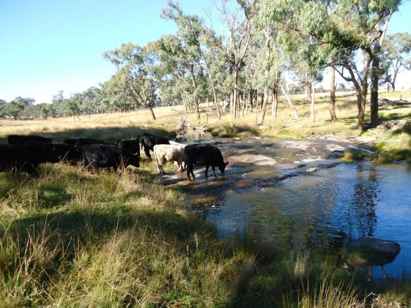 L219 Pyramids Road, Storm King, Stanthorpe QLD 4380