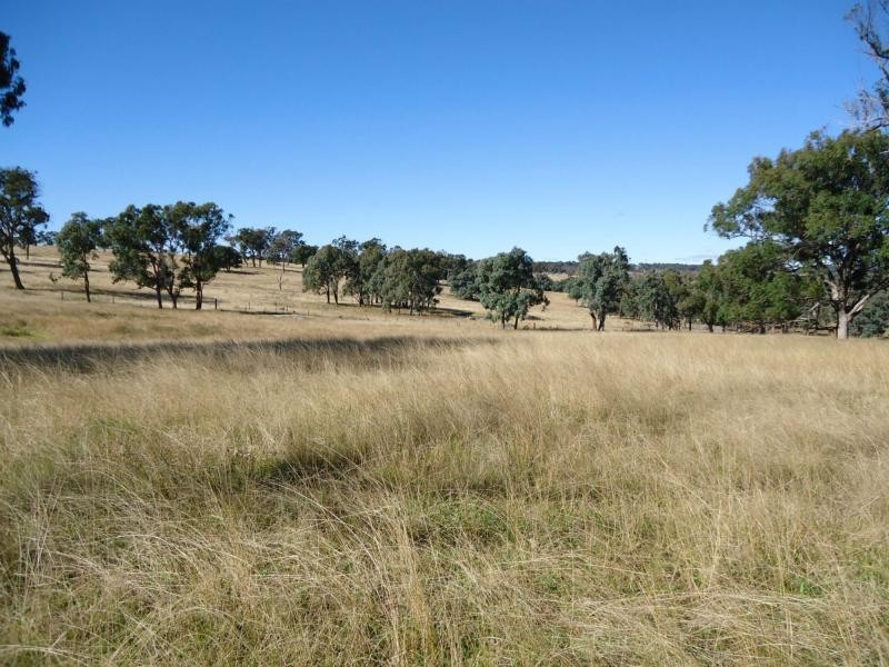 L219 Pyramids Road, Storm King, Stanthorpe QLD 4380