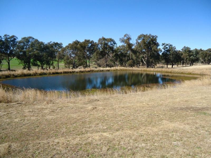 Stanthorpe QLD 4380