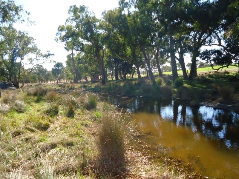 Stanthorpe QLD 4380