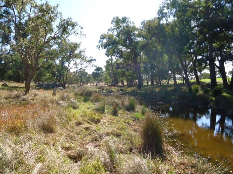 Stanthorpe QLD 4380