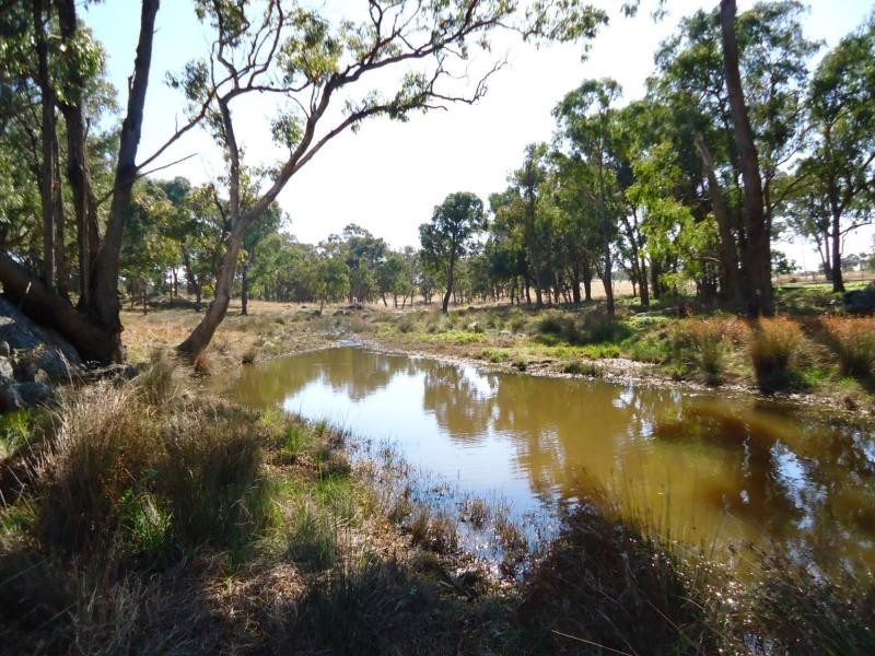 Stanthorpe QLD 4380