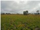 1a Torrisi Terrace, Stanthorpe QLD 4380