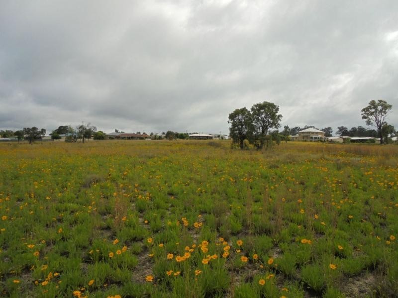 1a Torrisi Terrace, Stanthorpe QLD 4380