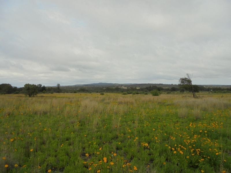 1a Torrisi Terrace, Stanthorpe QLD 4380