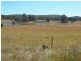 L4 Nielsens Road, Storm King, Stanthorpe QLD 4380