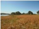 L4 Nielsens Road, Storm King, Stanthorpe QLD 4380