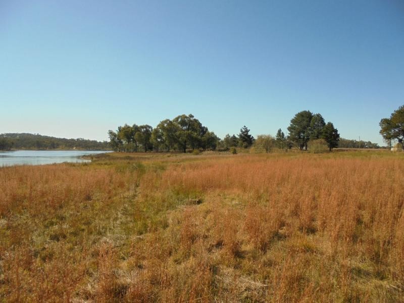 L4 Nielsens Road, Storm King, Stanthorpe QLD 4380