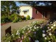 25 Smith Street, Stanthorpe QLD 4380