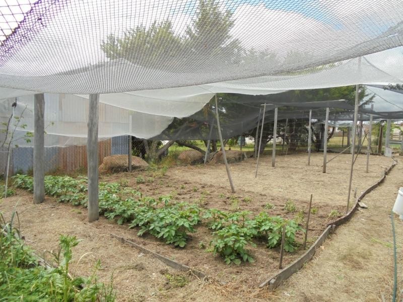 40 Pierpoint Street, Stanthorpe QLD 4380