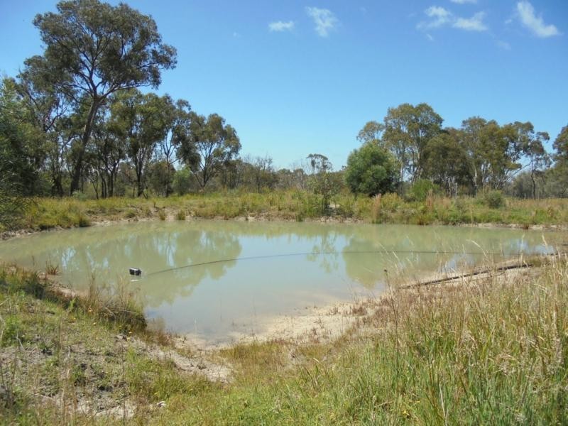 383 Donnellys Castle Road, Pozieres, Stanthorpe QLD 4380