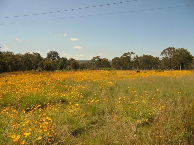 383 Donnellys Castle Road, Pozieres, Stanthorpe QLD 4380