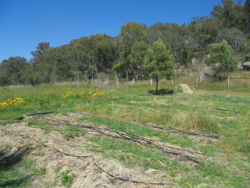 383 Donnellys Castle Road, Pozieres, Stanthorpe QLD 4380