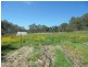 383 Donnellys Castle Road, Pozieres, Stanthorpe QLD 4380