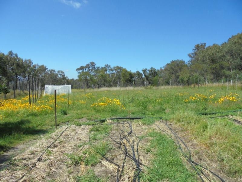 383 Donnellys Castle Road, Pozieres, Stanthorpe QLD 4380