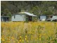 383 Donnellys Castle Road, Pozieres, Stanthorpe QLD 4380