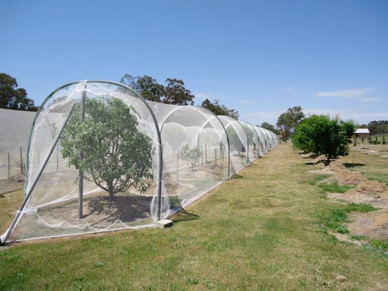 83 Mills Road, Dalcouth, Stanthorpe QLD 4380