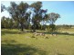 Stanthorpe QLD 4380