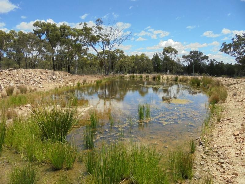 728 Mt Hutton Road, Nundubbermere, Stanthorpe QLD 4380