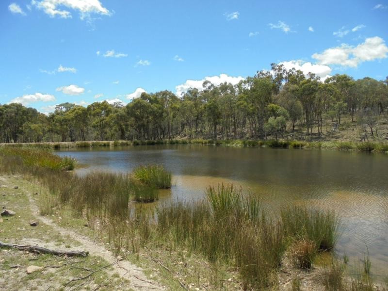 728 Mt Hutton Road, Nundubbermere, Stanthorpe QLD 4380