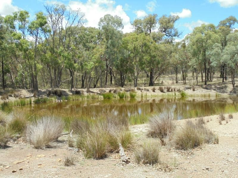 728 Mt Hutton Road, Nundubbermere, Stanthorpe QLD 4380