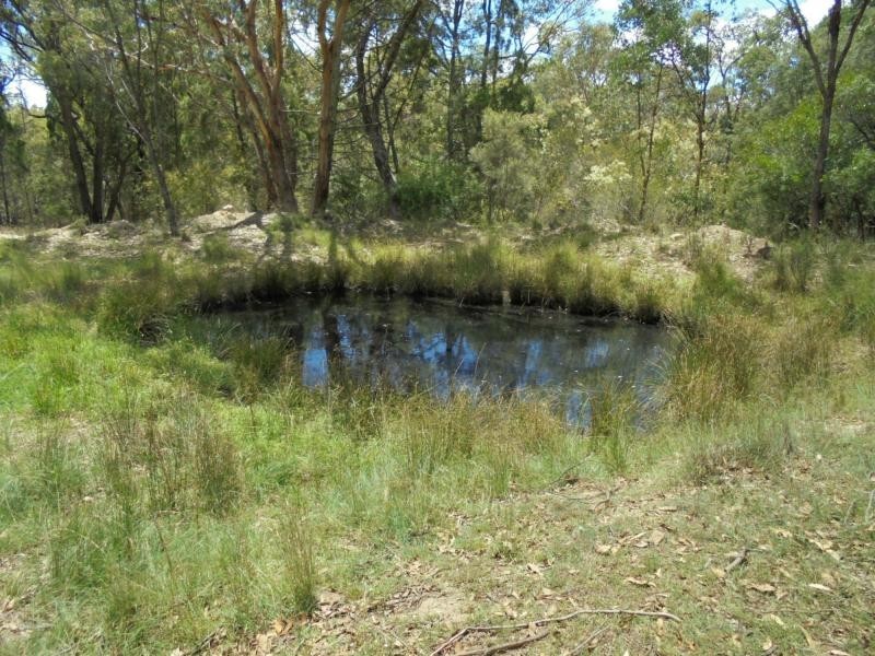 728 Mt Hutton Road, Nundubbermere, Stanthorpe QLD 4380