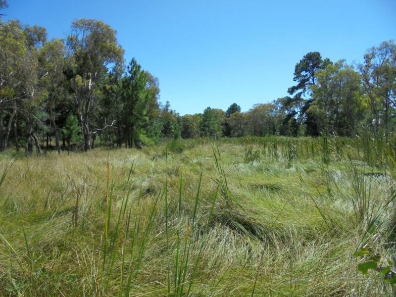 115 Thulimbah School Road, Cottonvale, Stanthorpe QLD 4380