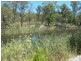 115 Thulimbah School Road, Cottonvale, Stanthorpe QLD 4380