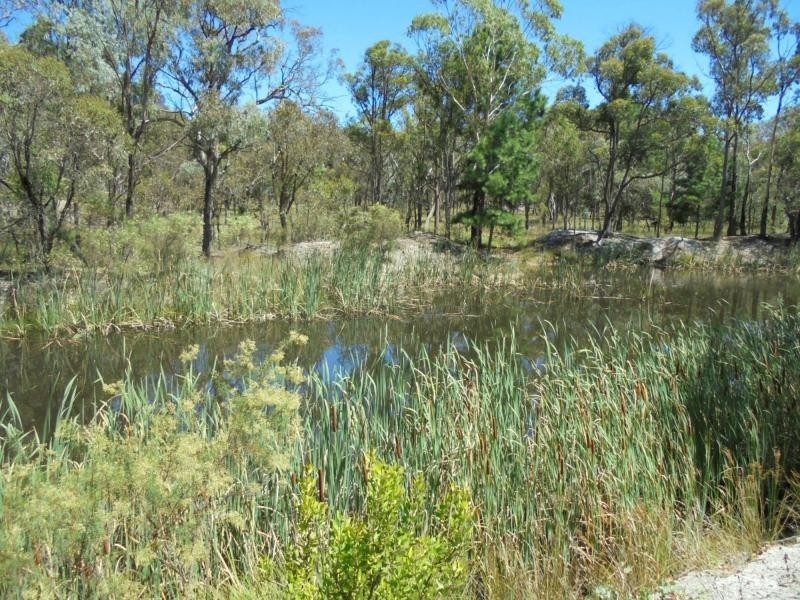 115 Thulimbah School Road, Cottonvale, Stanthorpe QLD 4380