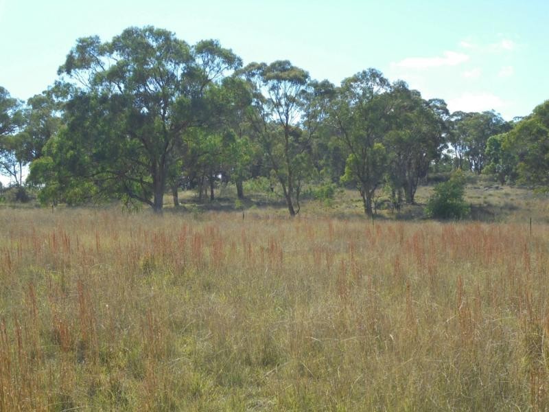 92 Johnstone Lane, Greenlands, Stanthorpe QLD 4380