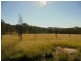 779 Bents Road, Ballandean, Stanthorpe QLD 4380