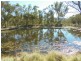779 Bents Road, Ballandean, Stanthorpe QLD 4380