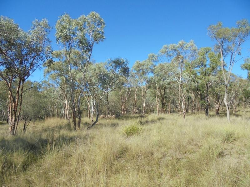 779 Bents Road, Ballandean, Stanthorpe QLD 4380