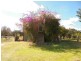 26 Quirks Road, Amiens, Stanthorpe QLD 4380