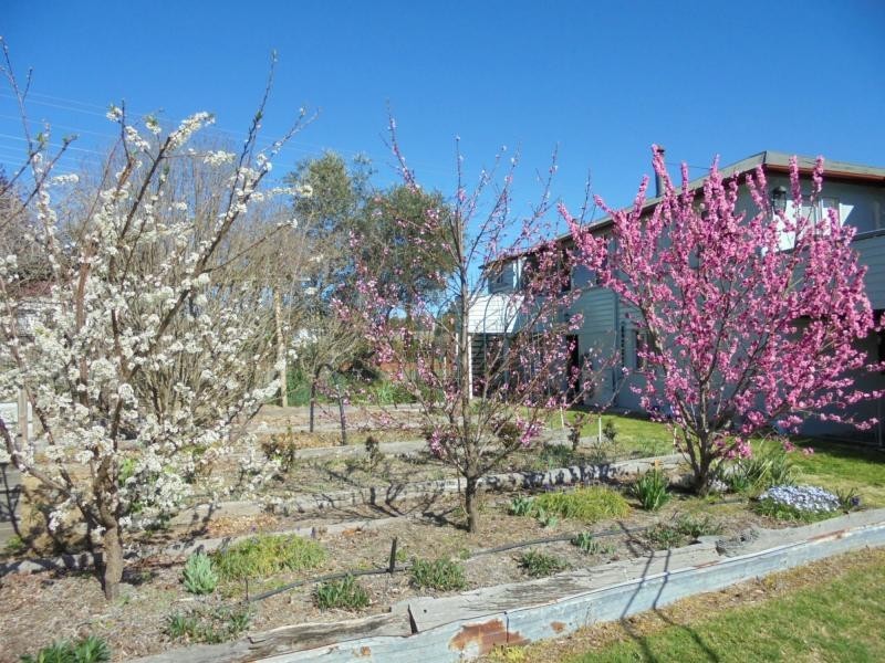 17 Wallangarra Road, Stanthorpe QLD 4380