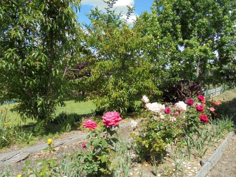 17 Wallangarra Road, Stanthorpe QLD 4380