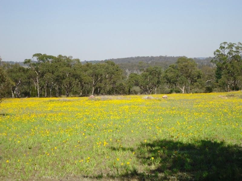 L2 Brunckhorst Avenue, Stanthorpe QLD 4380
