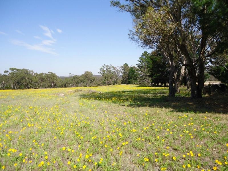 L2 Brunckhorst Avenue, Stanthorpe QLD 4380