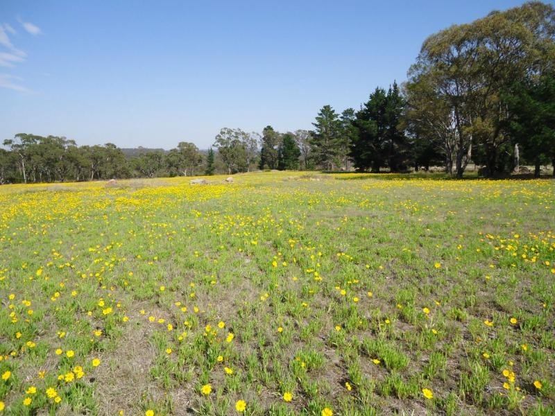 L2 Brunckhorst Avenue, Stanthorpe QLD 4380