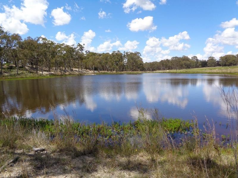 108 Lode Creek Road, Sugarloaf, Stanthorpe QLD 4380