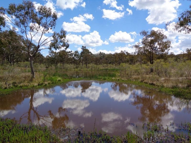 108 Lode Creek Road, Sugarloaf, Stanthorpe QLD 4380