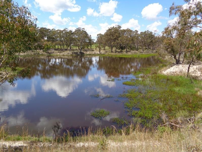 108 Lode Creek Road, Sugarloaf, Stanthorpe QLD 4380