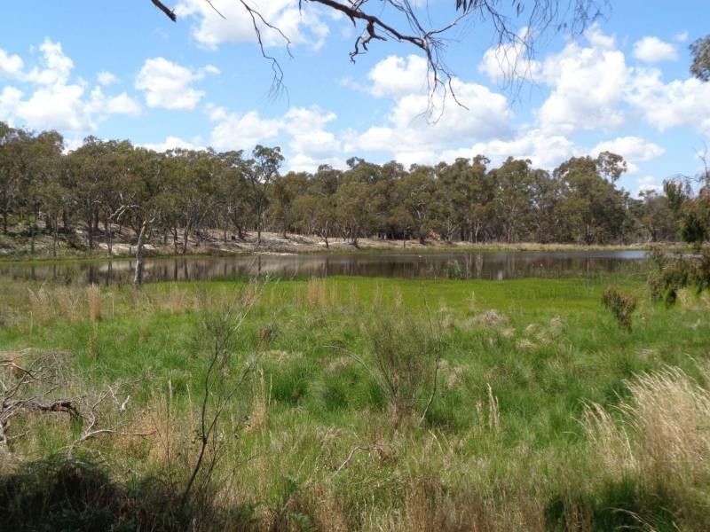 108 Lode Creek Road, Sugarloaf, Stanthorpe QLD 4380