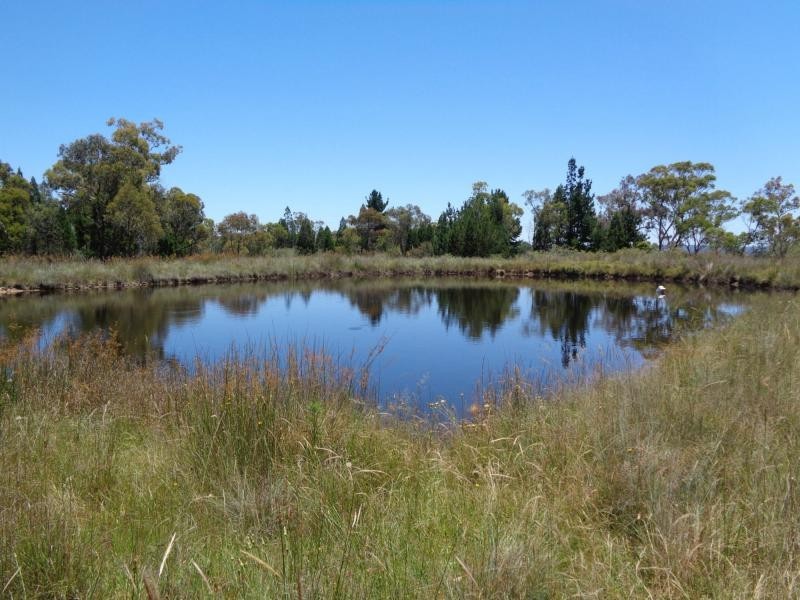 285 Thorndale Road, Broadwater, Stanthorpe QLD 4380