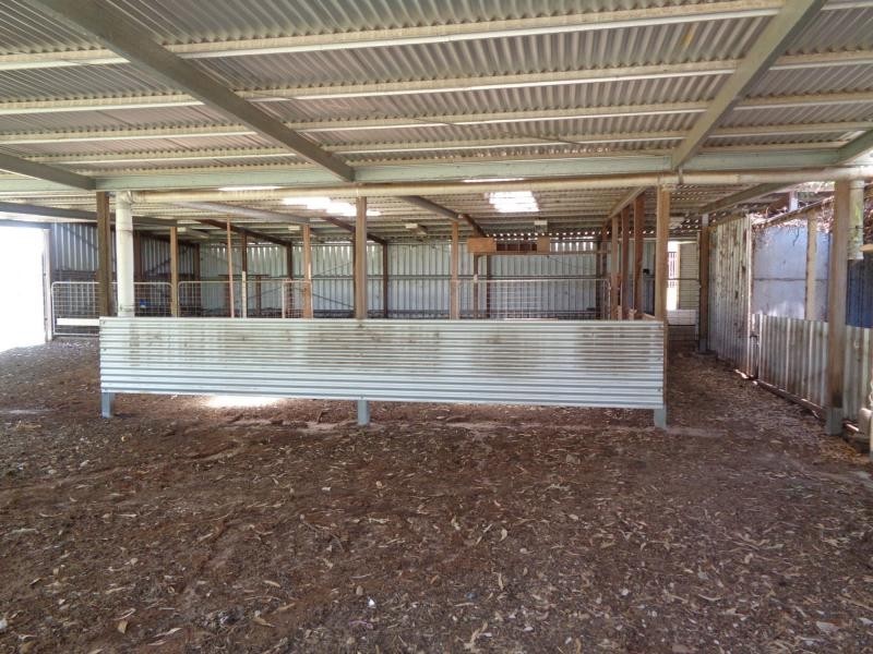 285 Thorndale Road, Broadwater, Stanthorpe QLD 4380