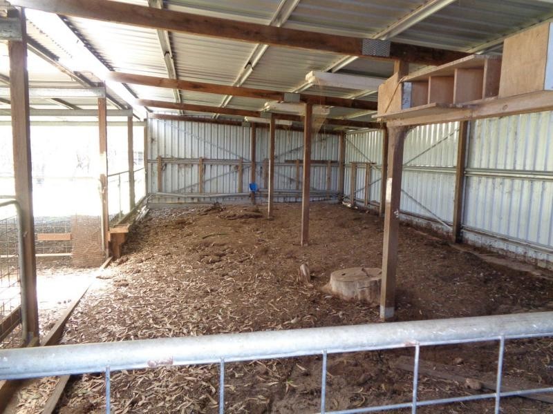 285 Thorndale Road, Broadwater, Stanthorpe QLD 4380