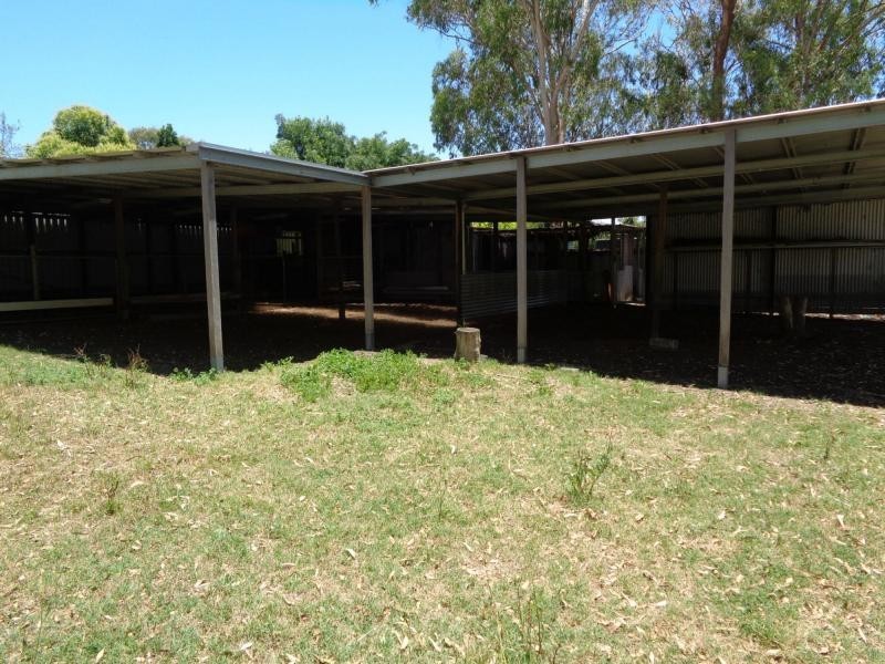 285 Thorndale Road, Broadwater, Stanthorpe QLD 4380