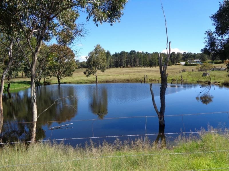 L49 Stabiles Road, Severnlea, Stanthorpe QLD 4380